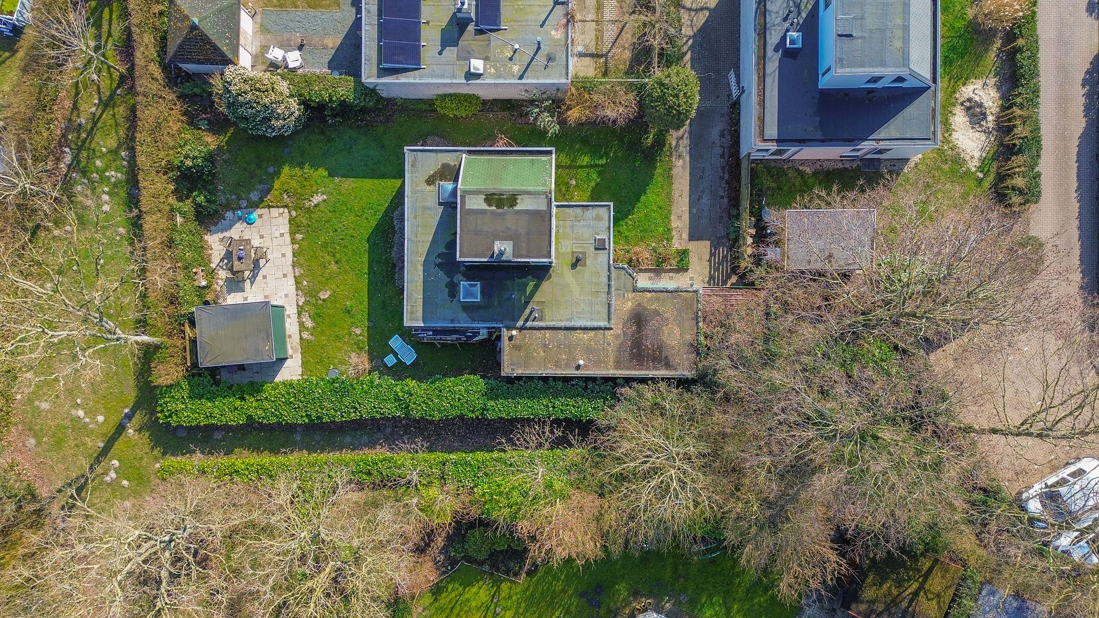 Photo 42 of Klepperstee-Populier 9