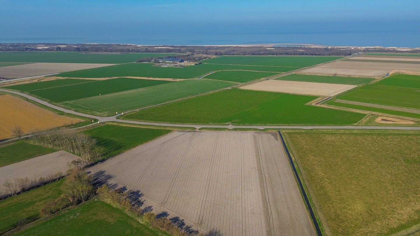 Photo 50 of Klepperstee-Populier 9