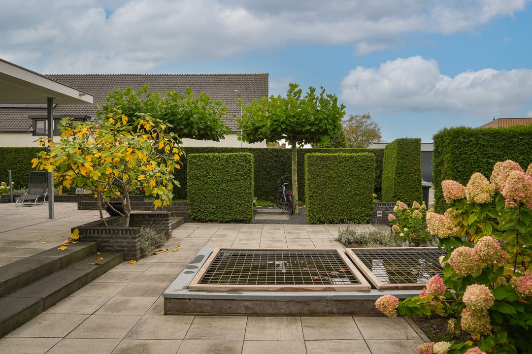 Foto 53 van Dijkstraat 49