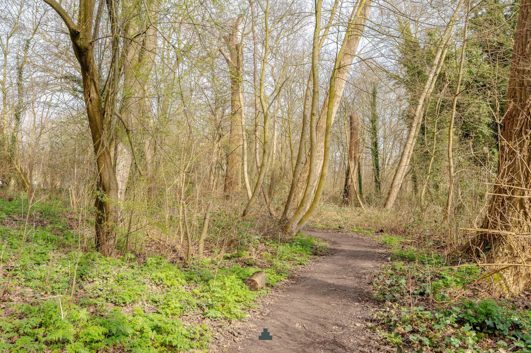 Foto 30 van Bataviastraat 81-D