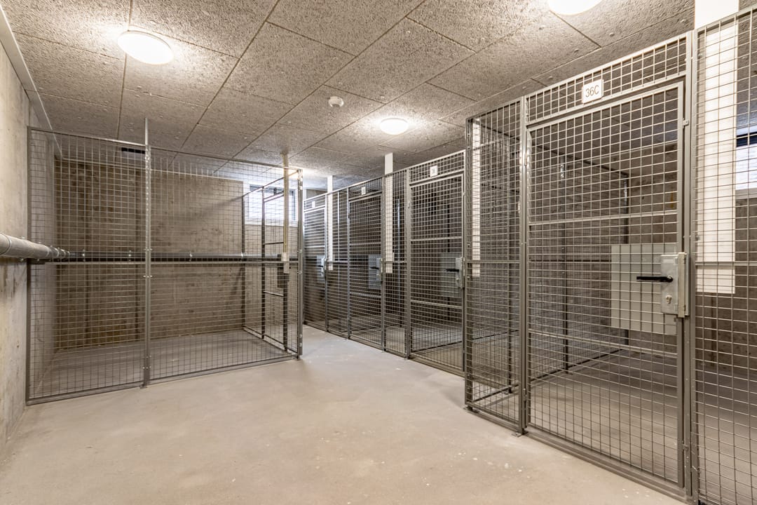 Foto 16 van Gansstraat 36-D