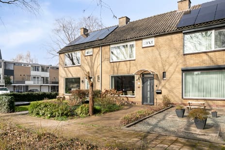 Kamperfoeliestraat thumbnail
