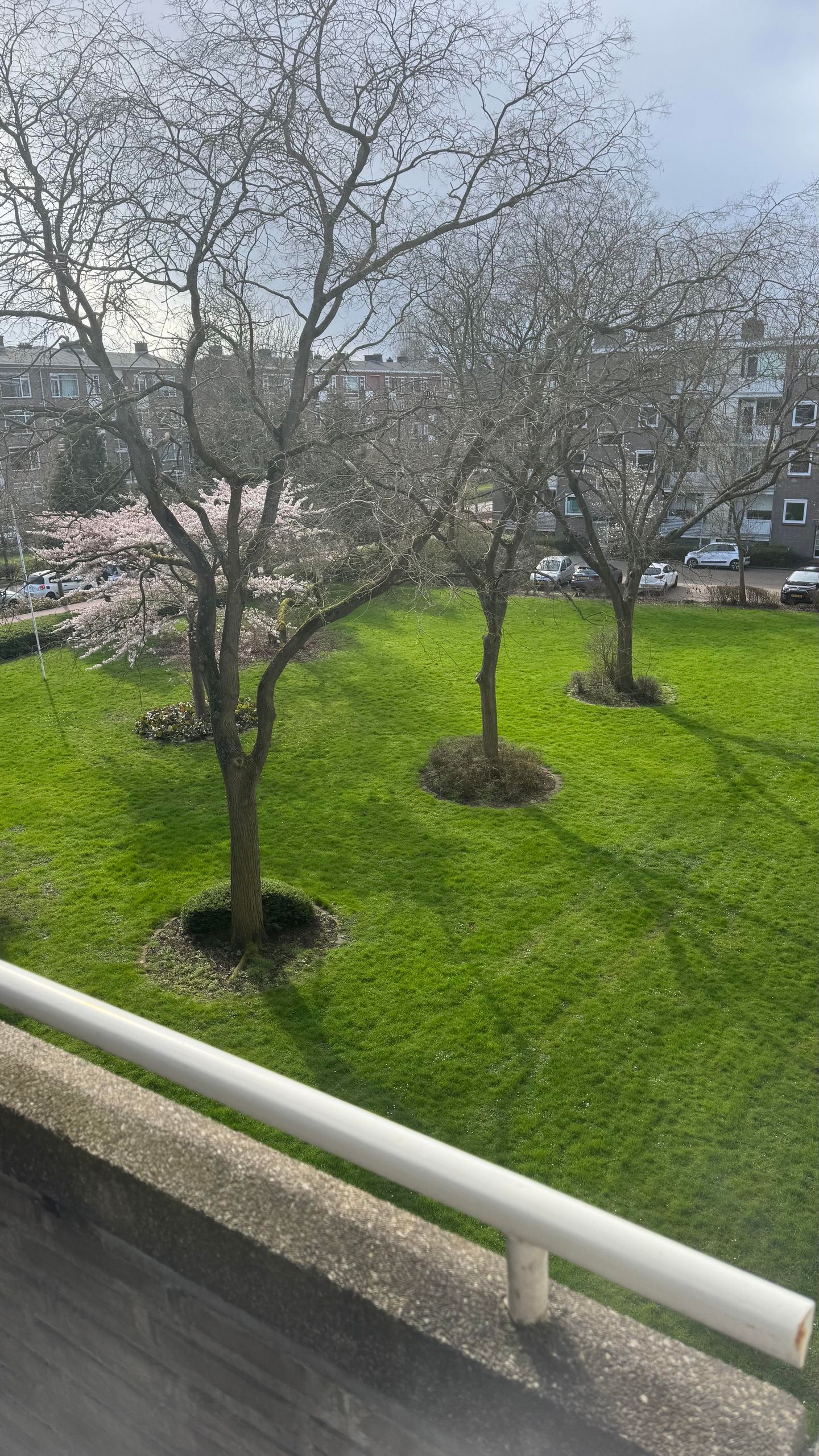 Foto 5 van van Leeuwenstraat 112