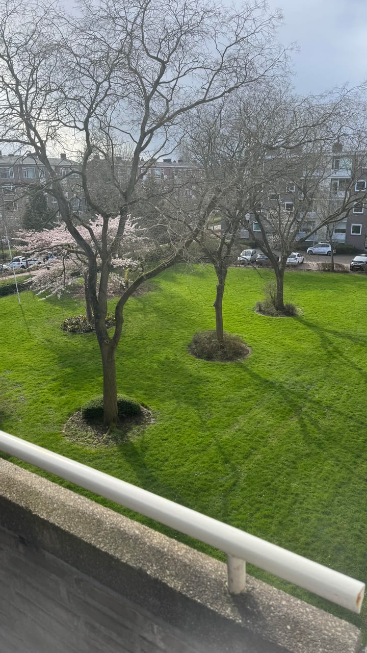 Foto 5 van van Leeuwenstraat 112