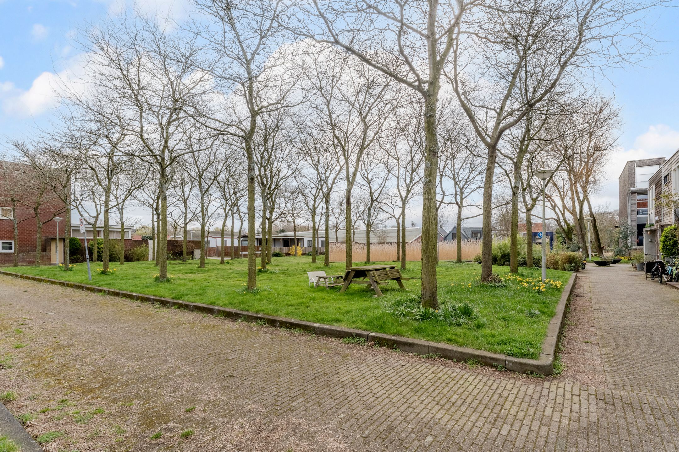 Foto 48 van Schaarbeekstraat 47