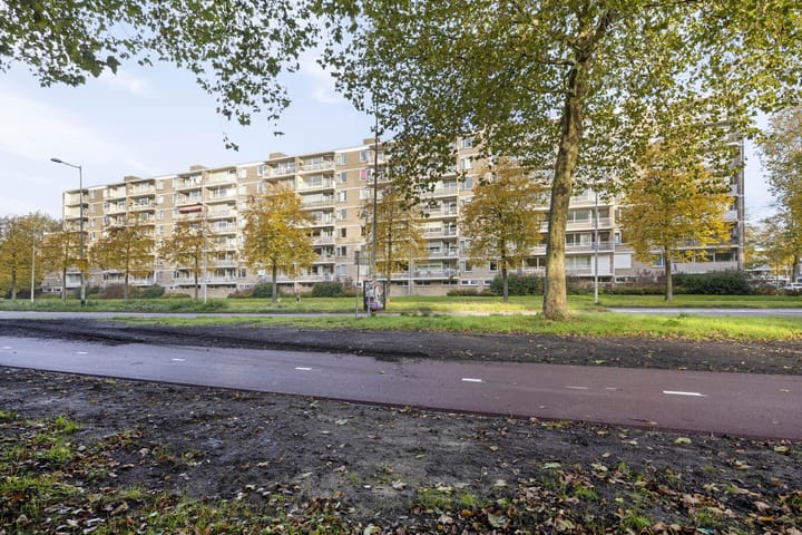 Photo 4 of Edmond Hellenraadstraat 40