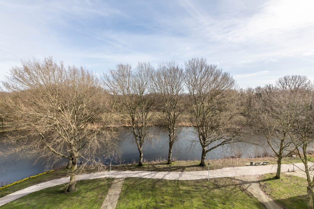 Foto 8 van Oeverpad 167