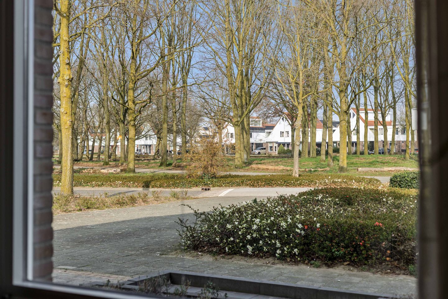 Foto 5 van Parklaan 2