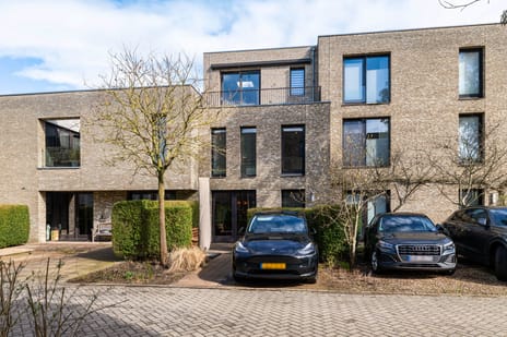 Eridanusstraat thumbnail