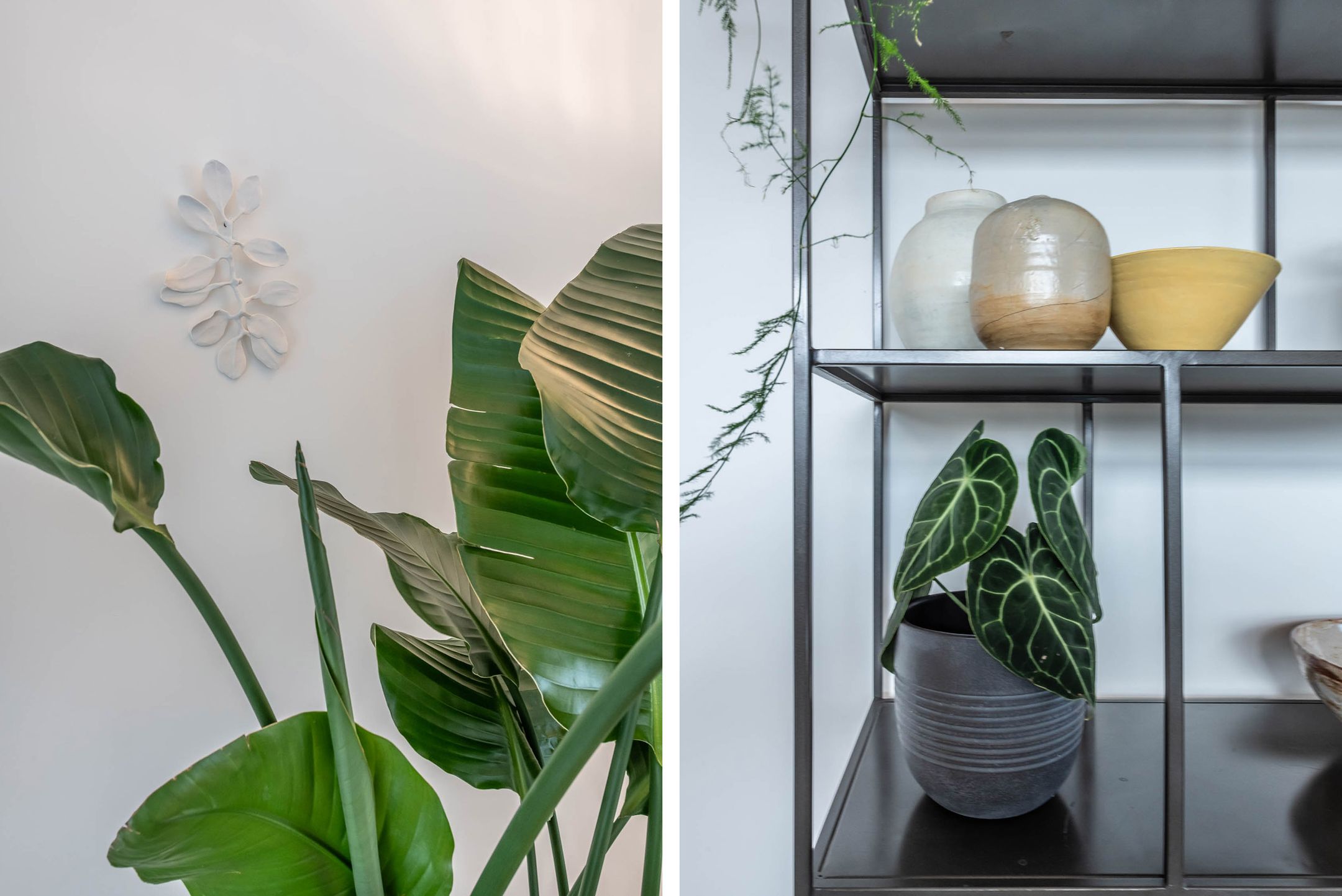 Photo 24 of Maagdenpalmstraat 6