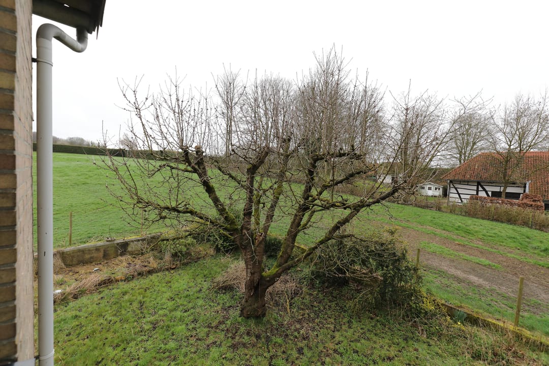 Foto 23 van Hekerweg 46