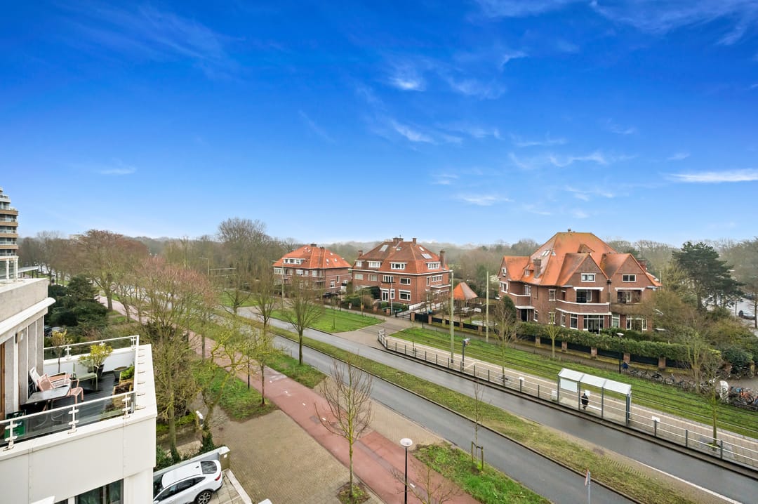 Foto 46 van Nieuwe Parklaan 101-C