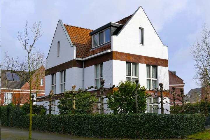 Lofoten 1 main image