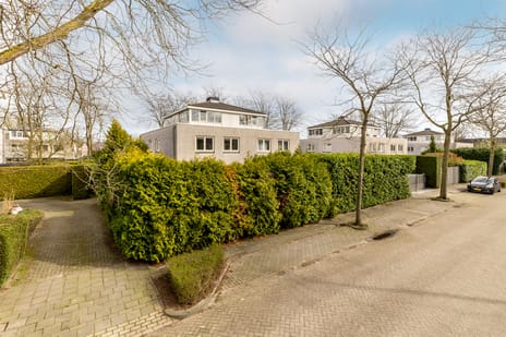 Wim Brugmanstraat thumbnail