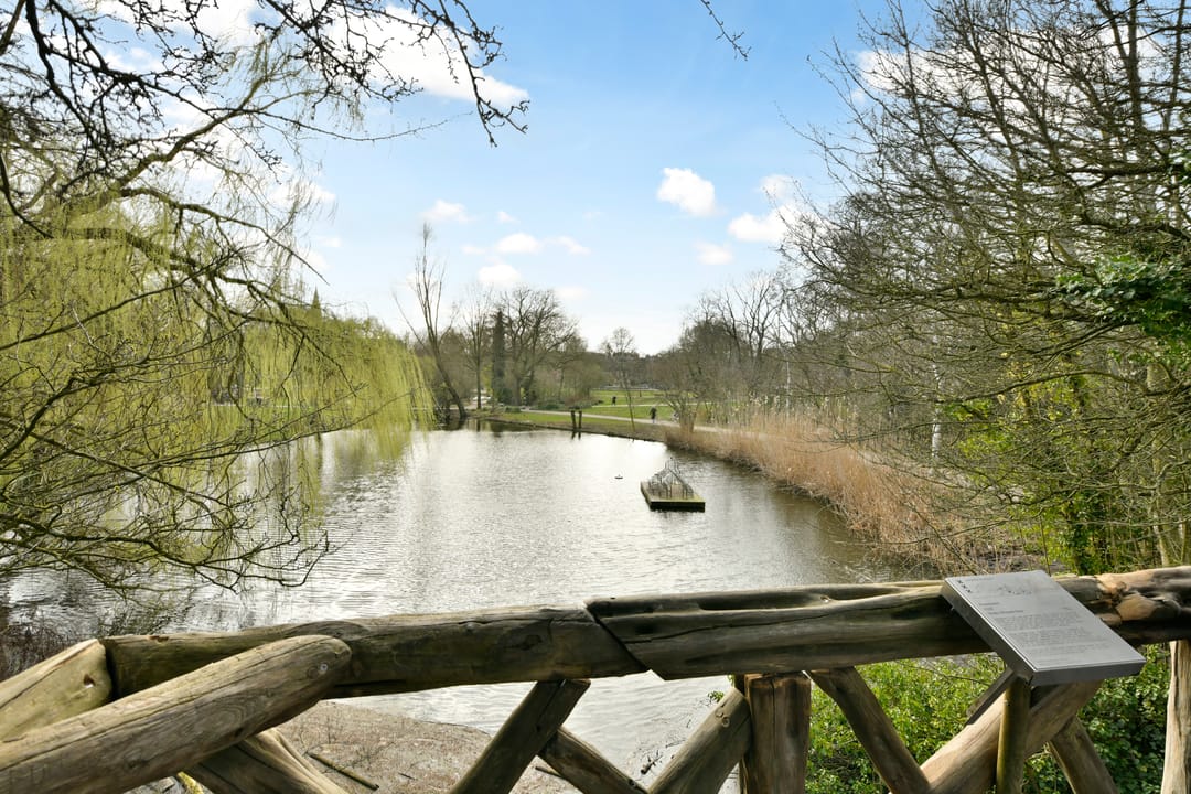 Foto 28 van Van Ostadestraat 288-H