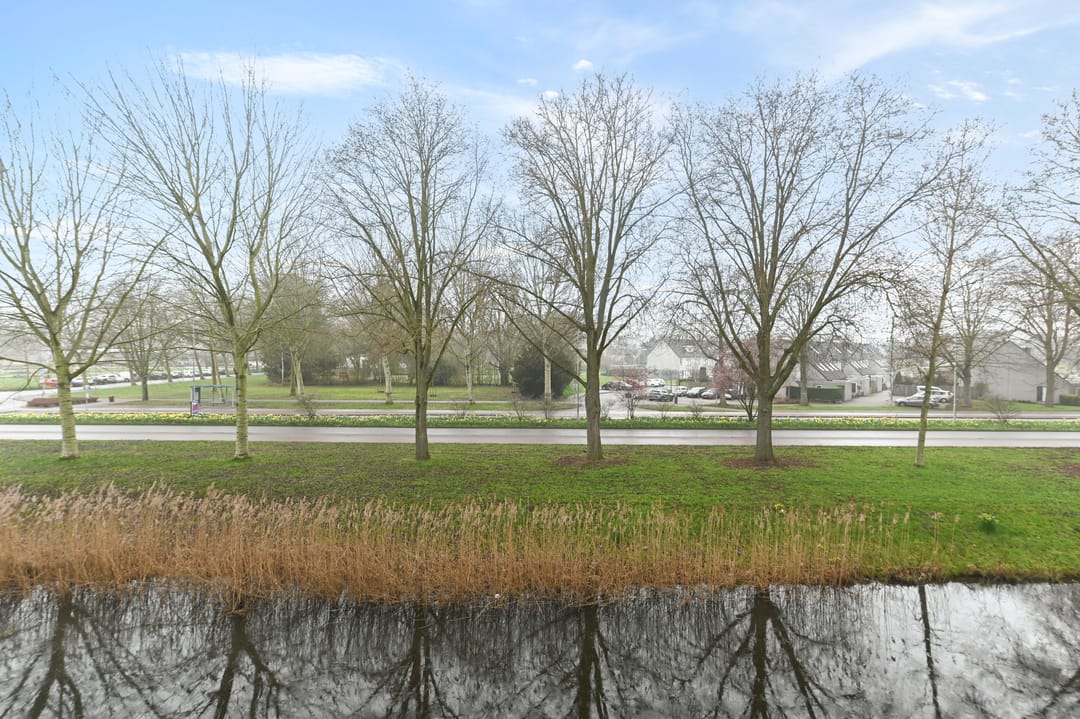 Photo 23 of Prinses Annalaan 186