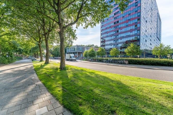 Foto 5 van Laan van Vollenhove 228