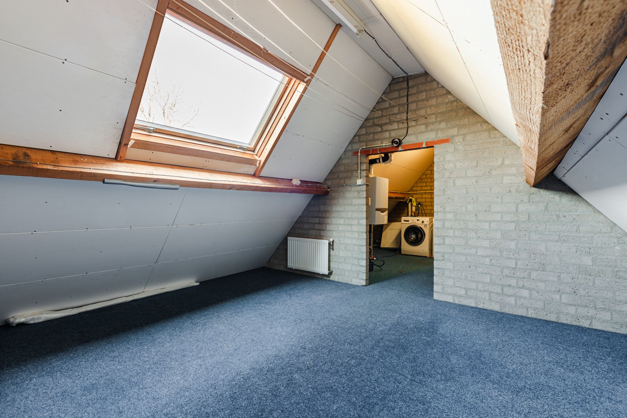 Photo 45 of Patrijsstraat 31