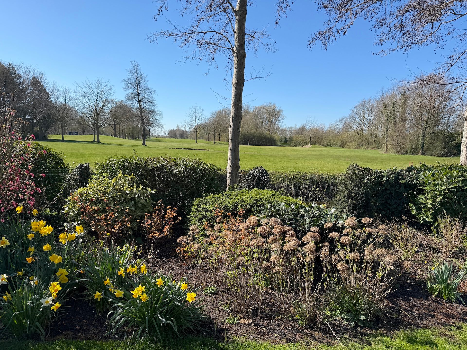 Photo 69 of Grevelingenhout 70