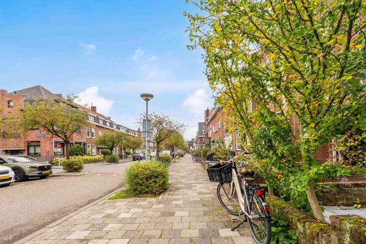 Foto 2 van van Cleefstraat 18