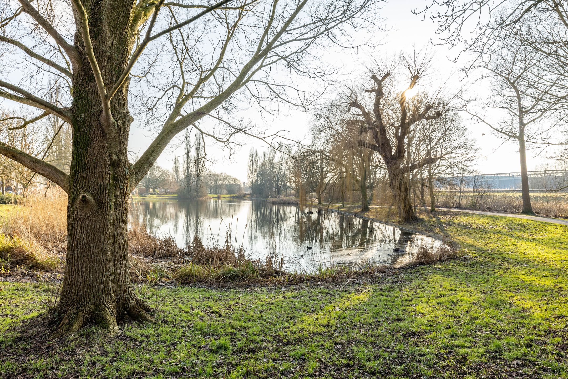 Foto 33 van Tweede Spoorstraat 22