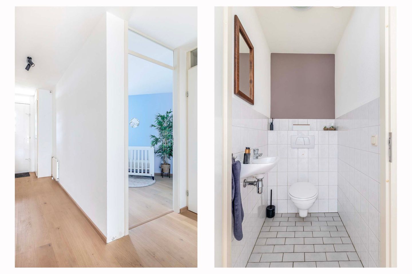 Foto 10 van Broedershof 54