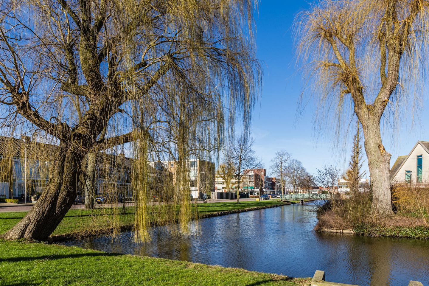 Photo 34 of Dronensingel 97