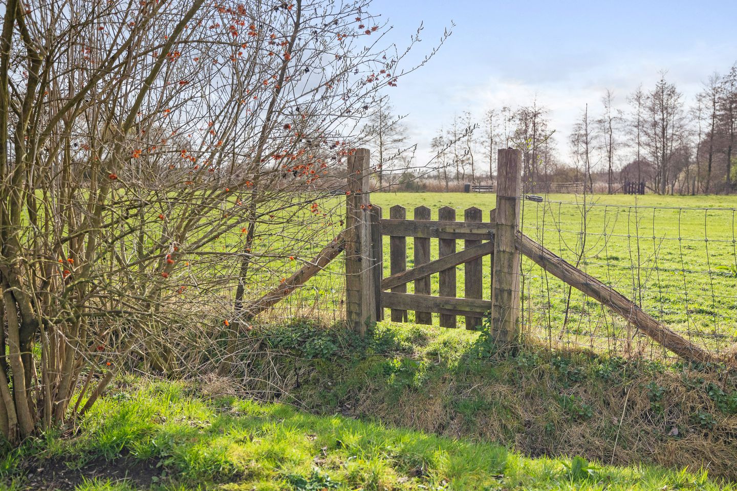 Foto 44 van Schenskenweg 16