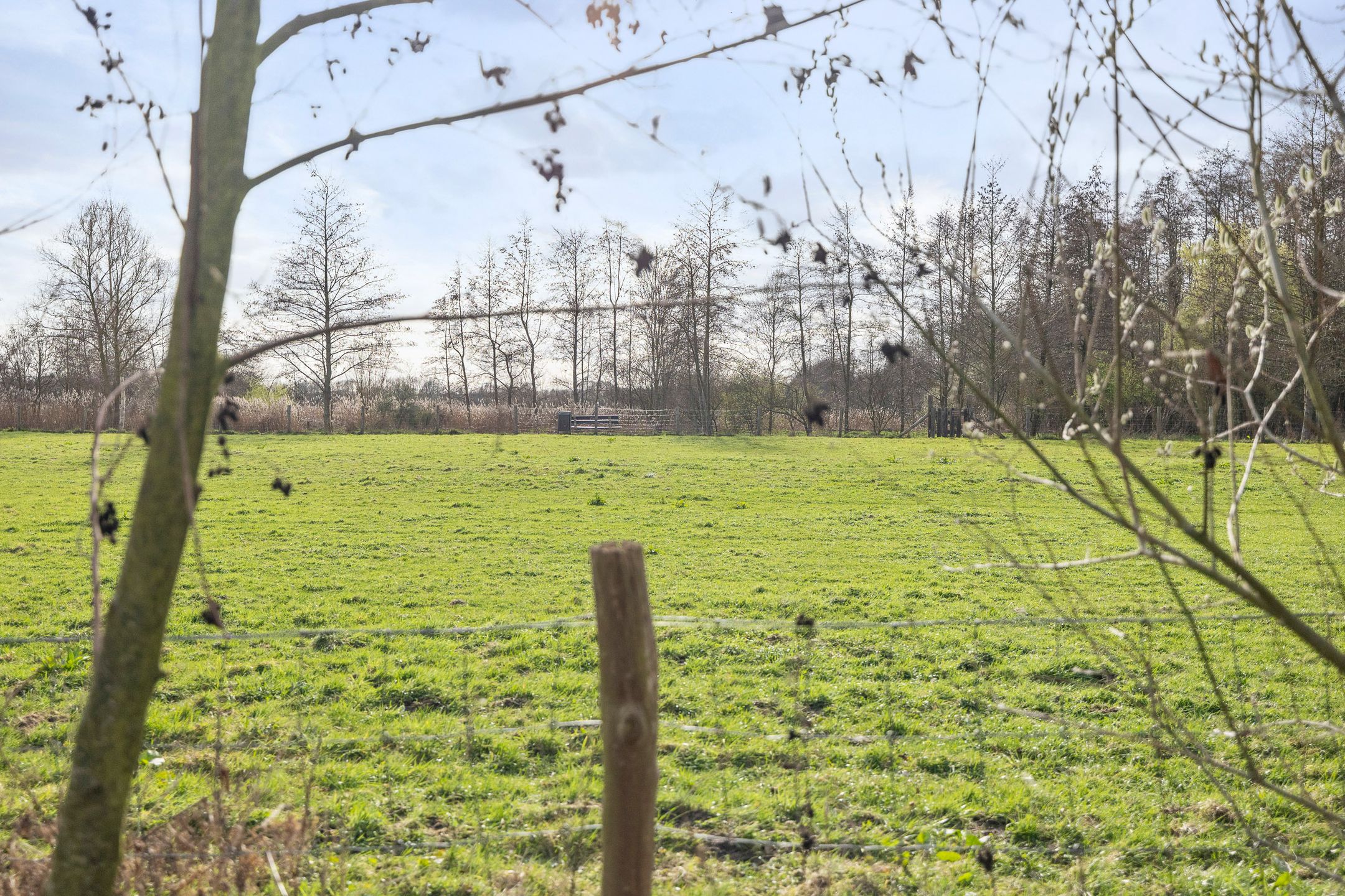 Foto 45 van Schenskenweg 16