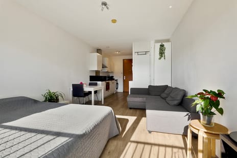 Welnastraat 457 secondary image