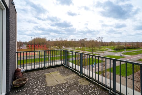 Tempo Doeloestraat 174 secondary image