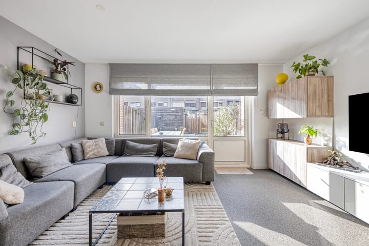 Foto 2 van Dwergblauwtje 18