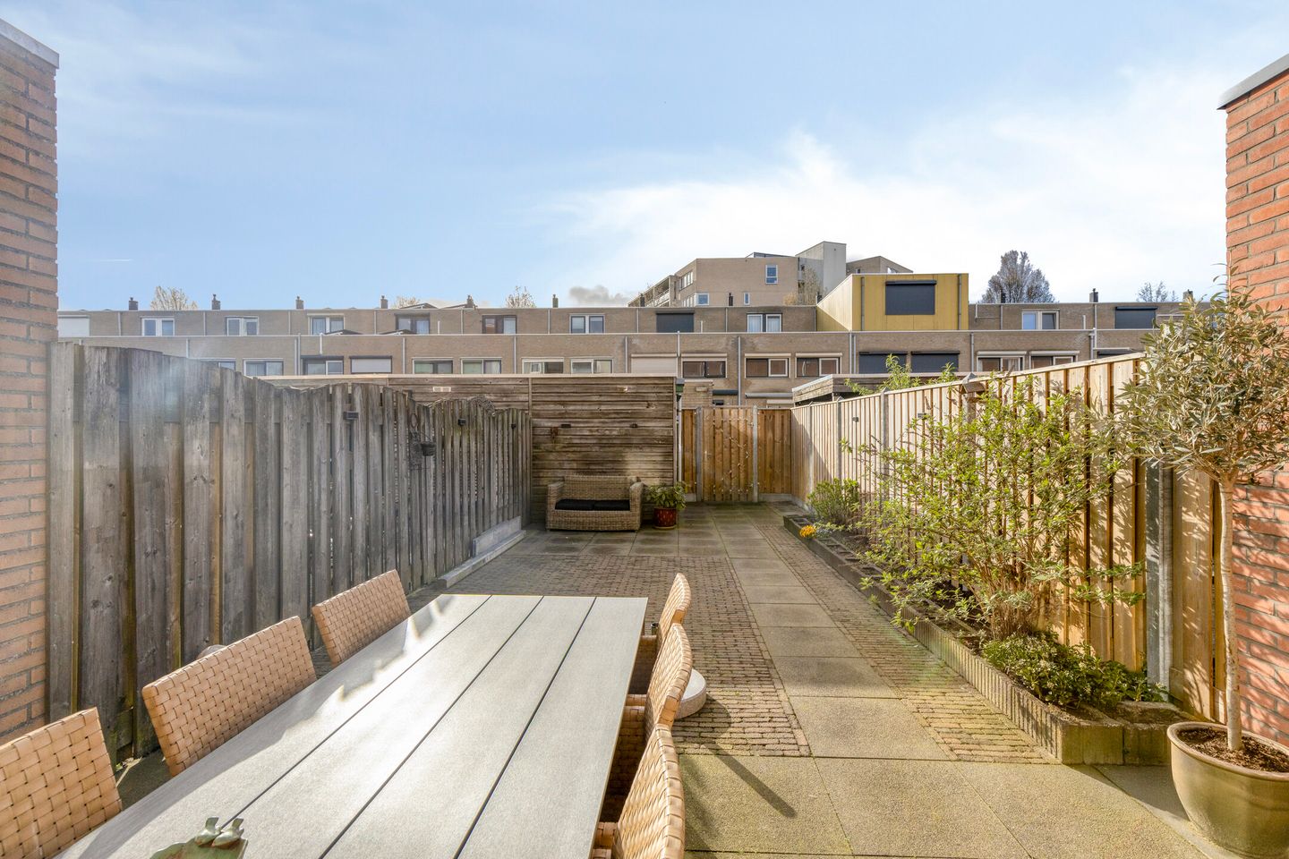 Foto 4 van Dwergblauwtje 18