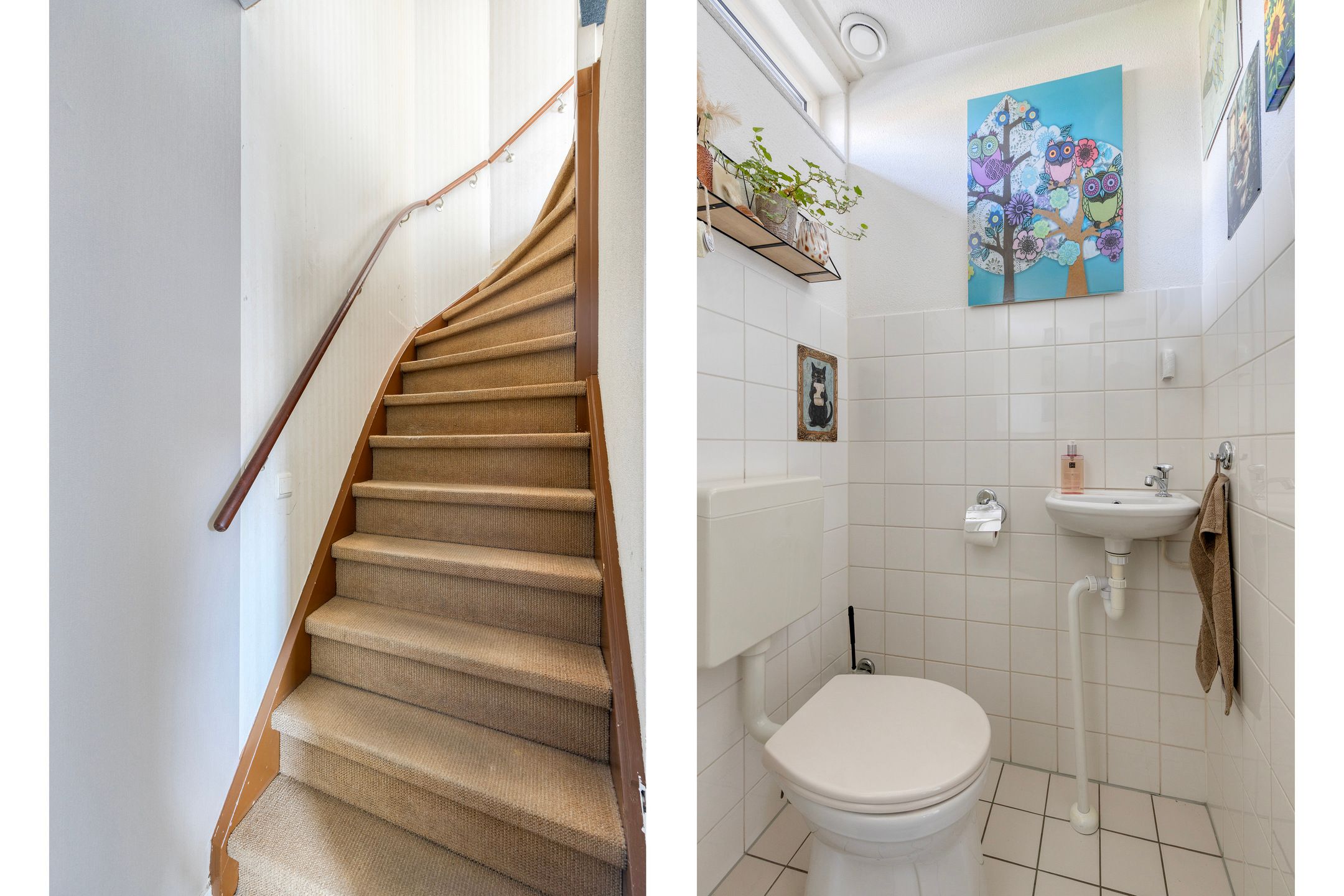 Foto 6 van Dwergblauwtje 18