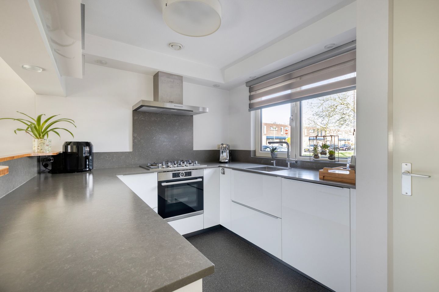 Foto 14 van Dwergblauwtje 18