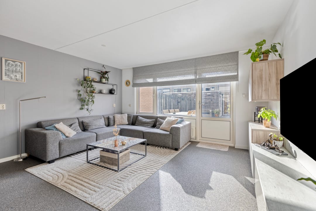 Foto 8 van Dwergblauwtje 18