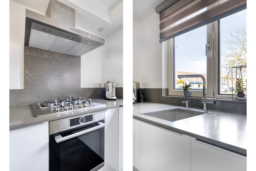 Foto 16 van Dwergblauwtje 18