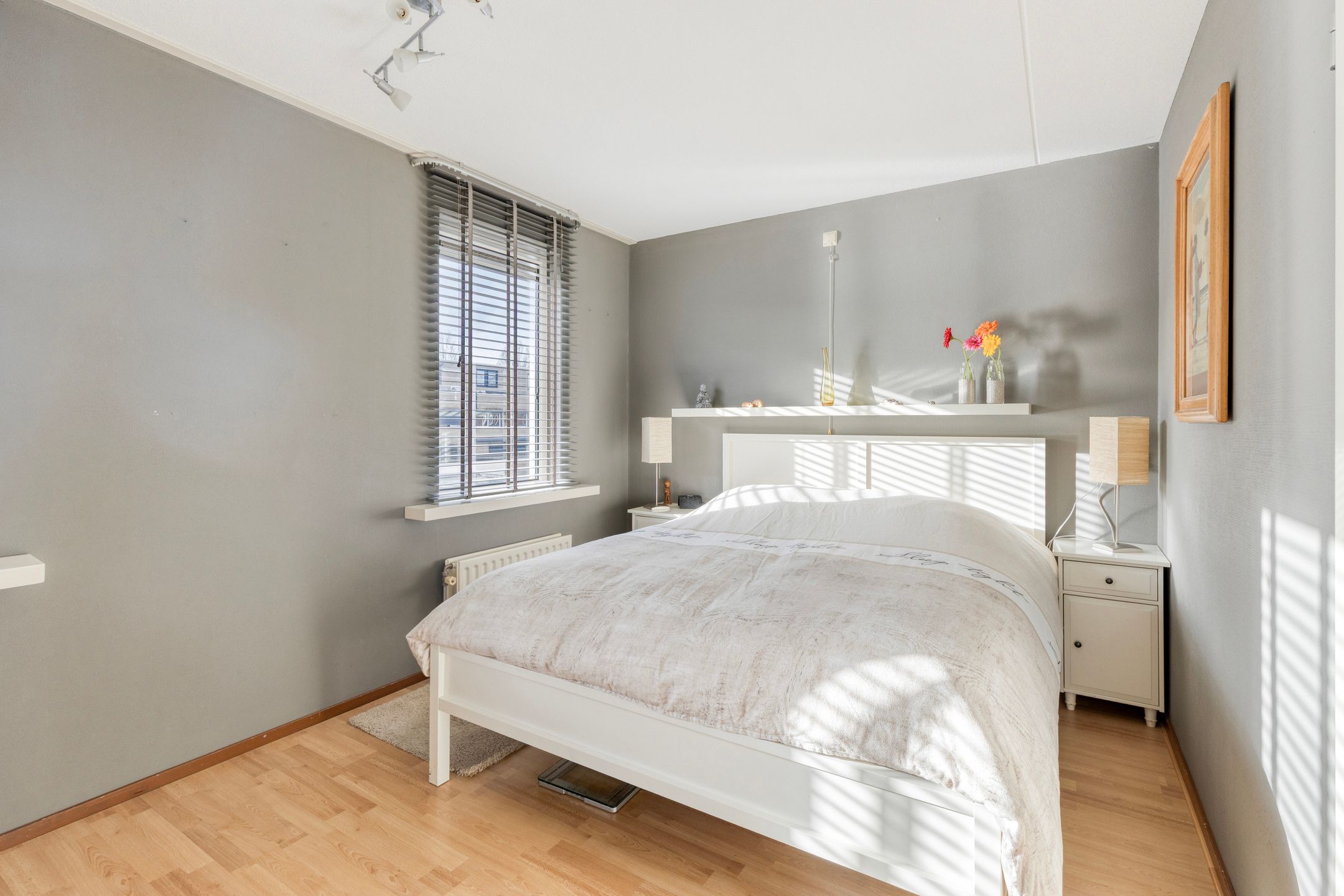 Foto 18 van Dwergblauwtje 18