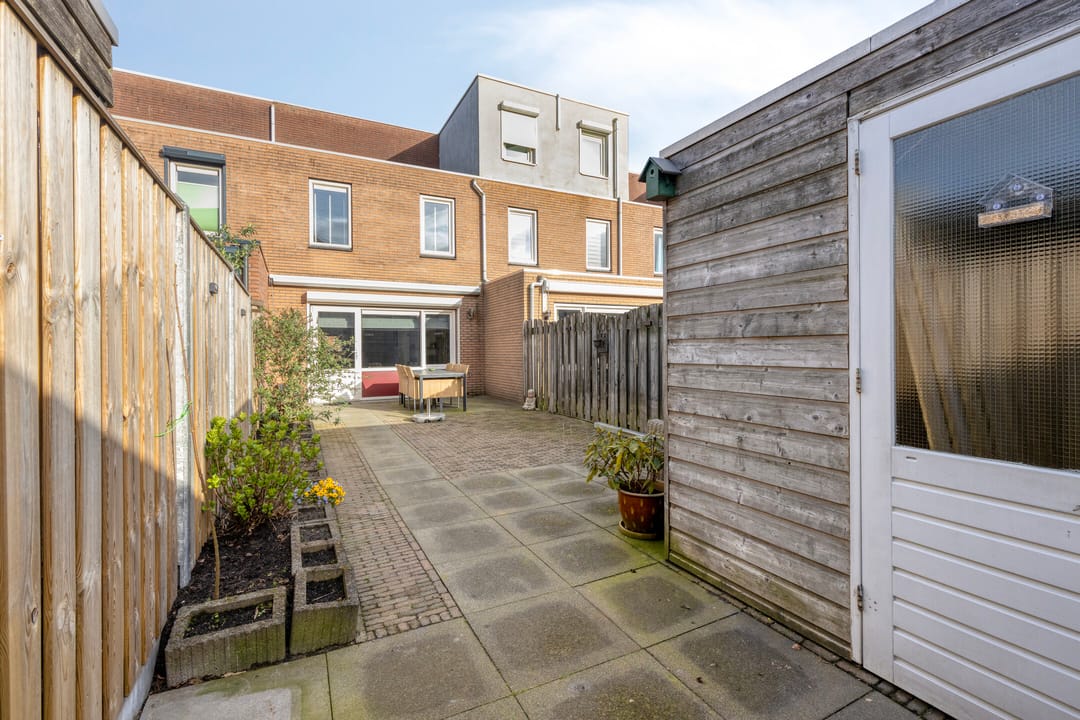 Foto 32 van Dwergblauwtje 18