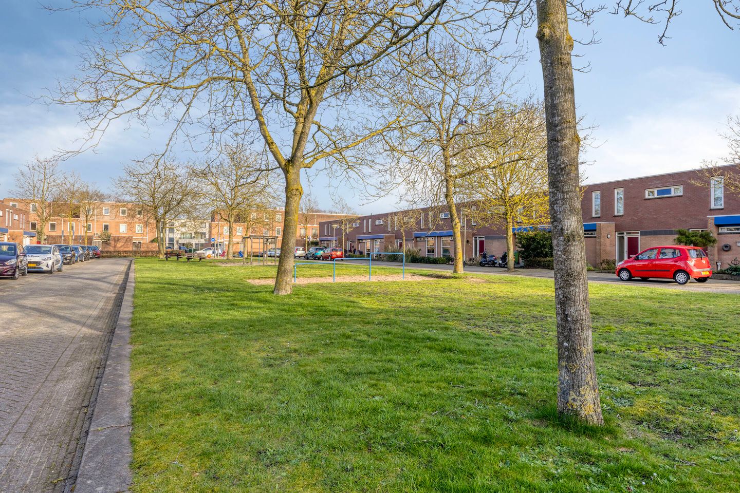 Foto 35 van Dwergblauwtje 18