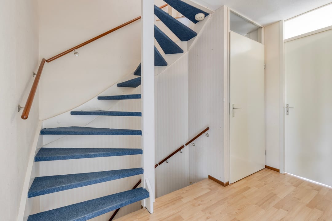 Foto 17 van Dwergblauwtje 18