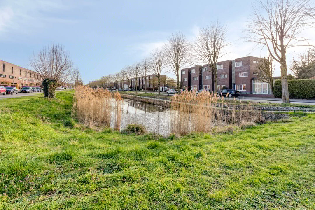 Foto 37 van Dwergblauwtje 18