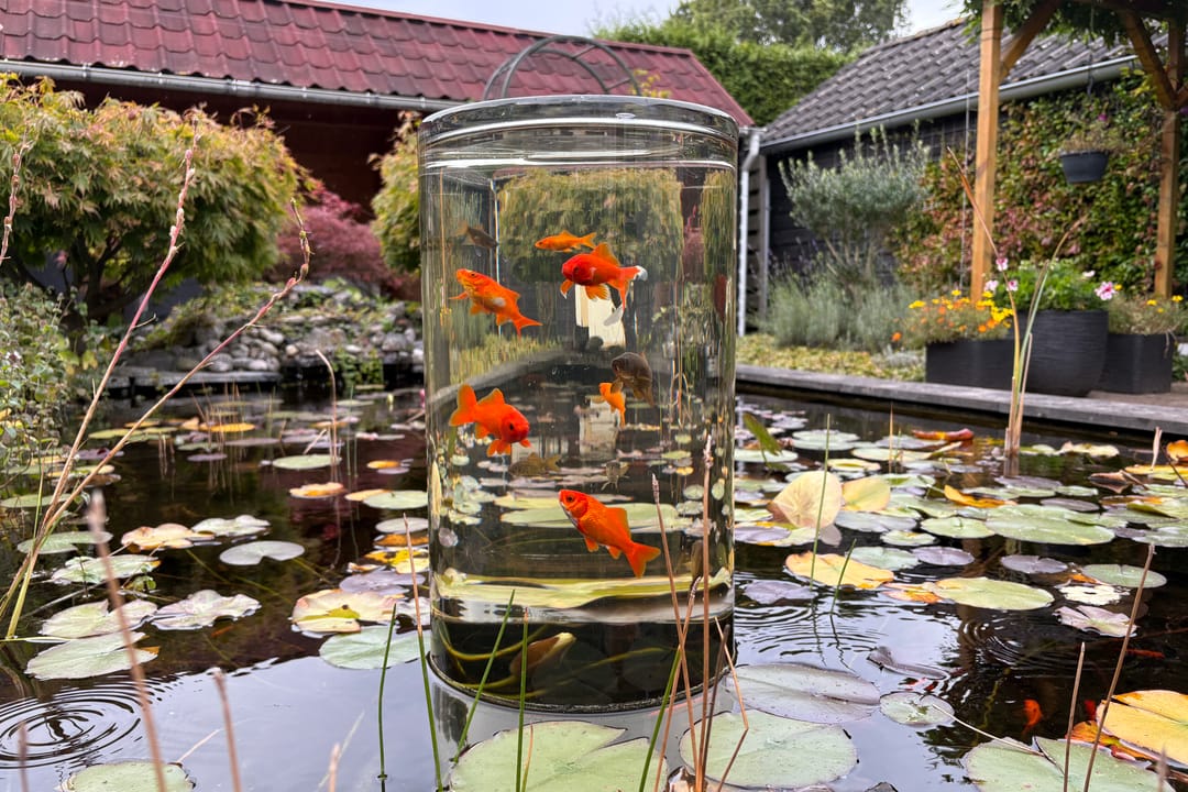 Foto 32 van de Botter 11