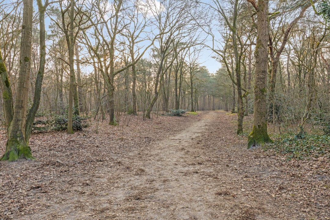 Photo 47 of Koningspagehof 17