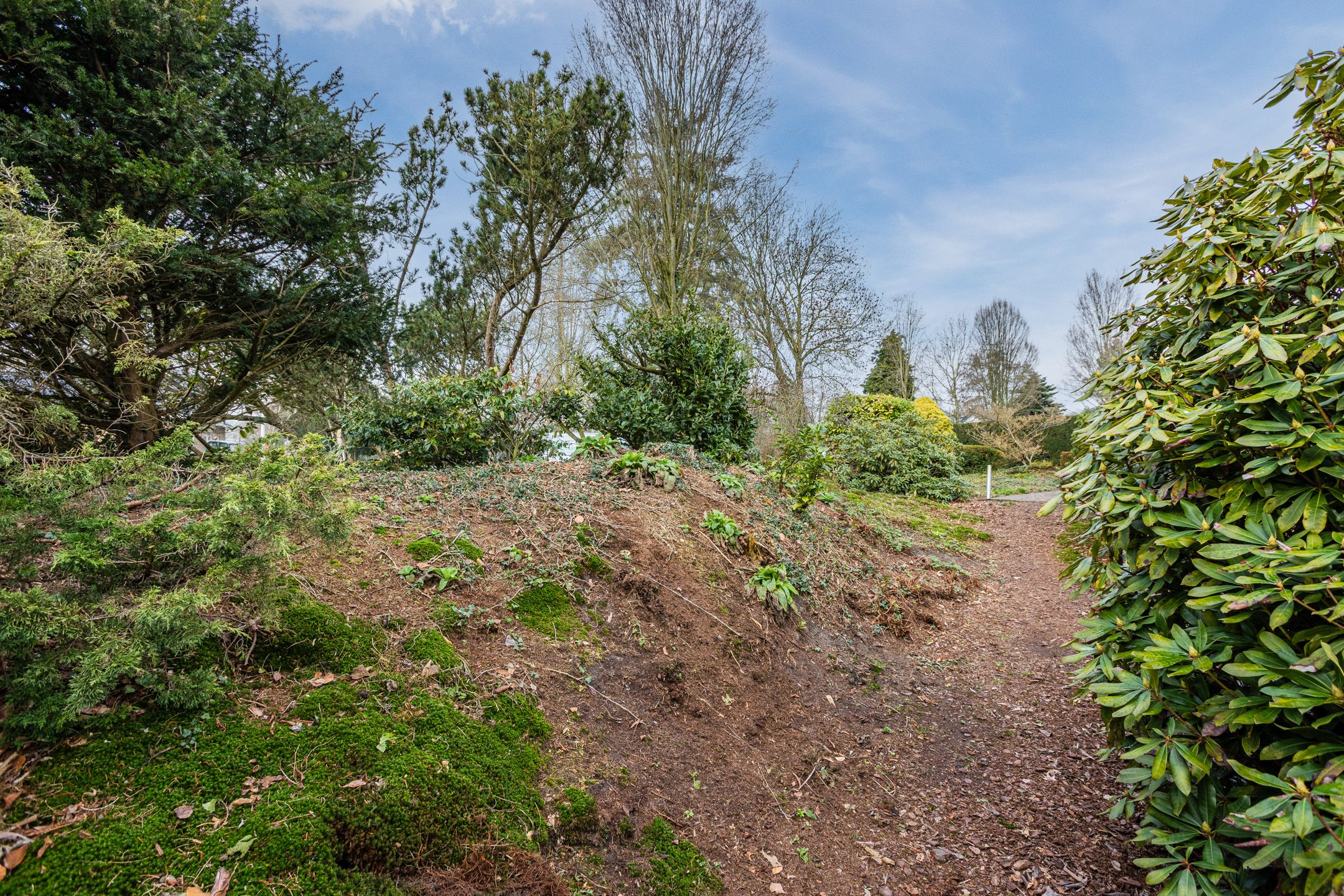 Foto 45 van Vijverlaan 13