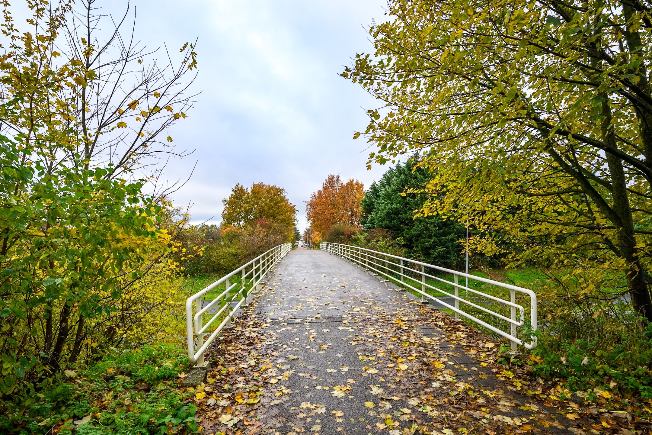 Photo 30 of Annie M.G. Schmidtweg 12