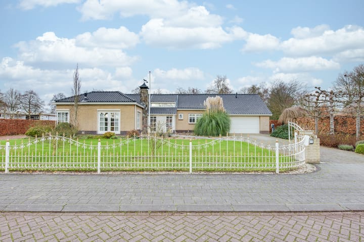 Photo 4 of Transvaal 40