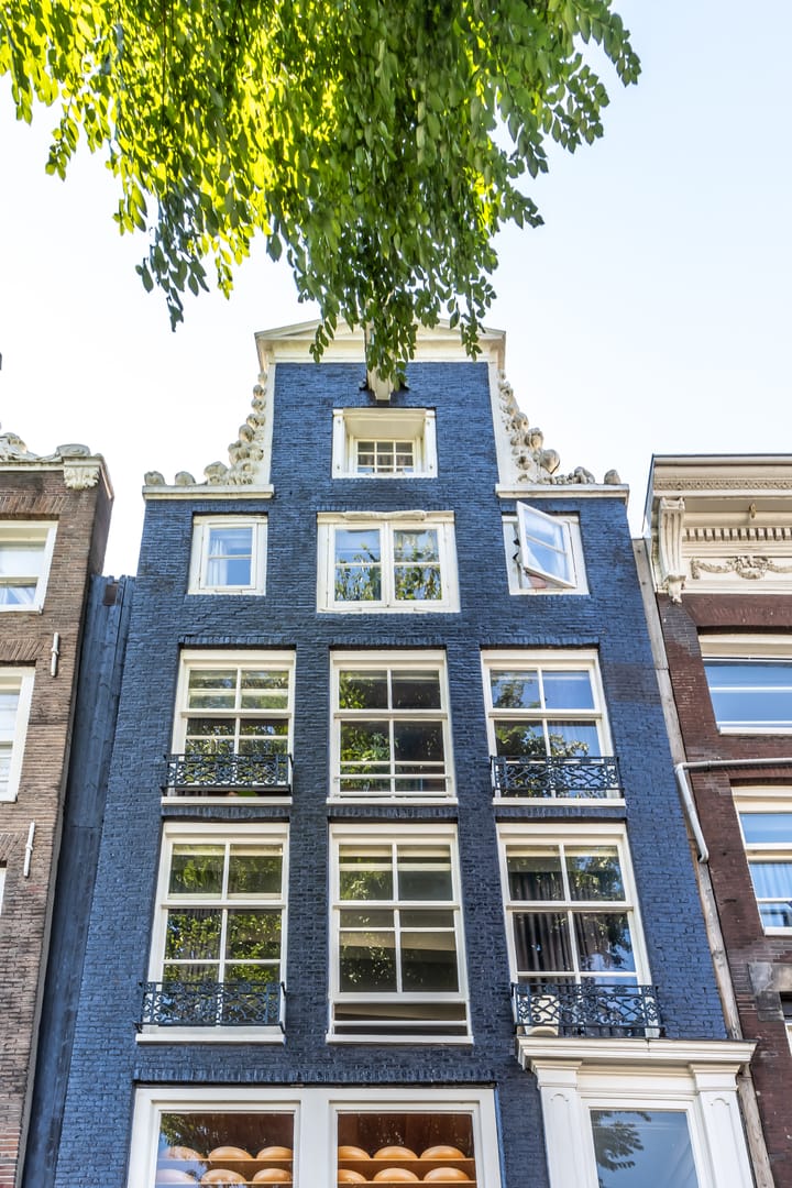 Singel 484-C main image
