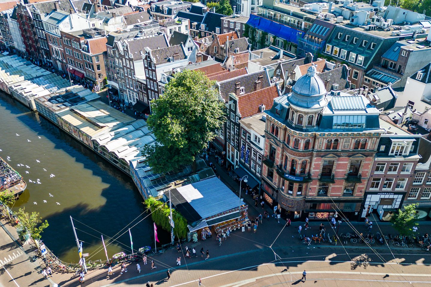 Foto 20 van Singel 484-C