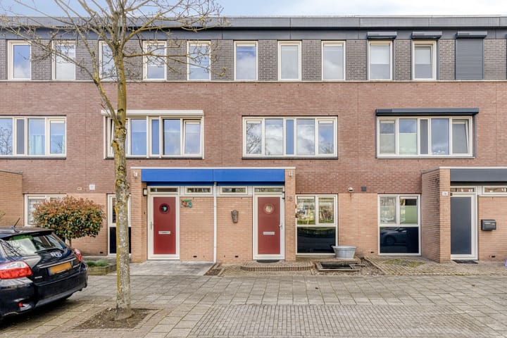 Dwergblauwtje 18 main image